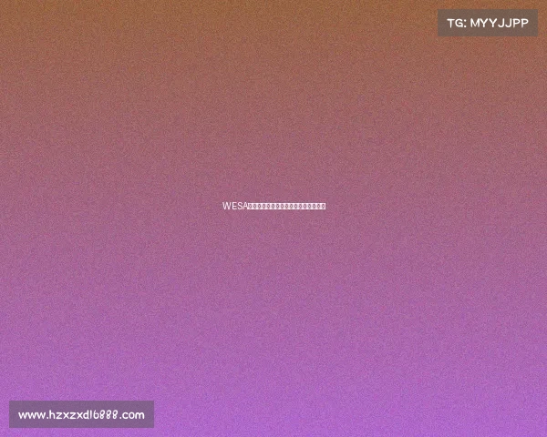 WESA电竞联盟：新兴战队的领航者与挑战者